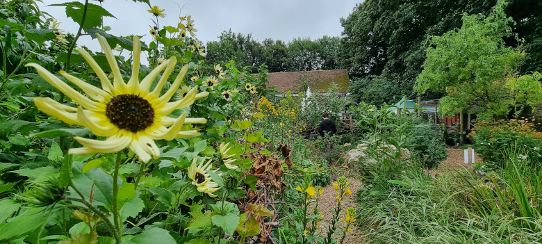 Faversham Physic Garden